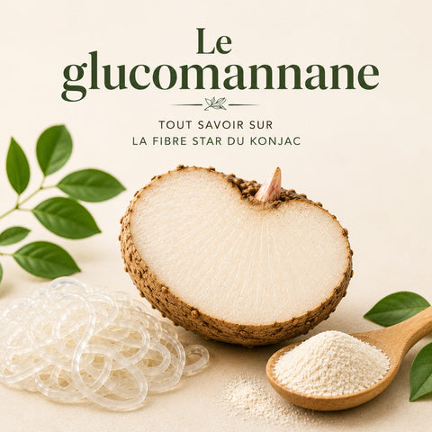 Le glucomannane : tout savoir sur la fibre star du konjac