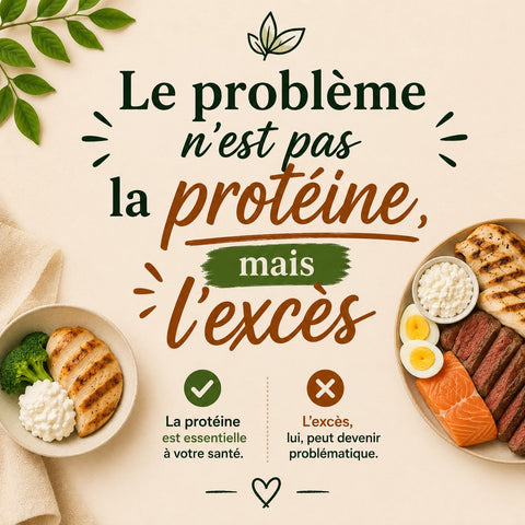 Régime hyperprotéiné : le problème n'est pas la protéine, mais l'excès