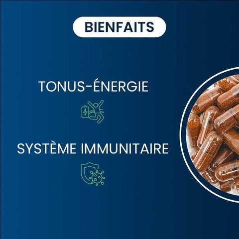 Dynveo - Multivitamines Multi27 60 gélules - Délices Low Carb