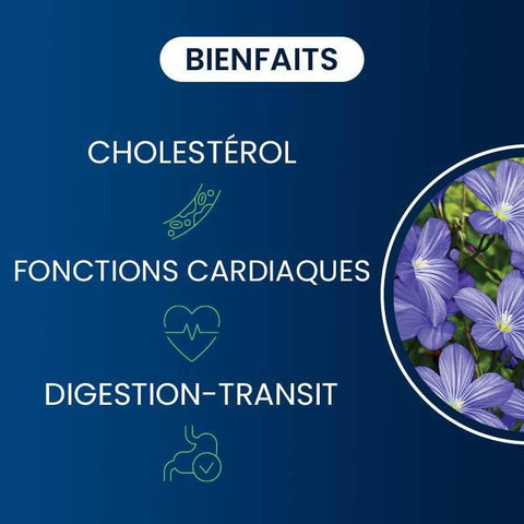 DI300 Dynveo - Huile de lin 60 capsules - Délices Low Carb
