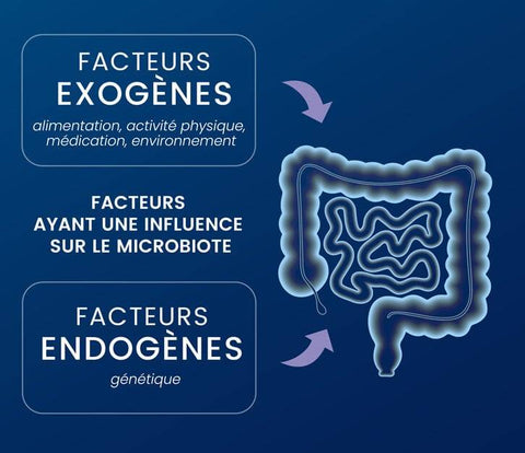 Dynveo - Pack Découverte du Microbiote intestinal - Délices Low Carb