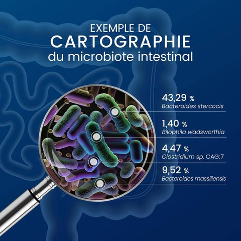 Dynveo - Pack Découverte du Microbiote intestinal - Délices Low Carb
