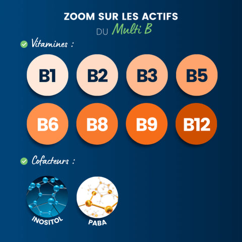 Complexe Multi-B - Dynvéo - 60 gélules (2 mois) - Délices Low Carb