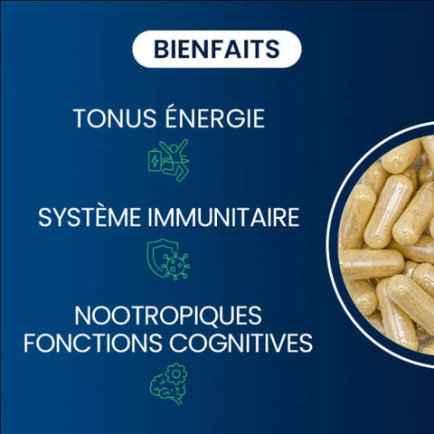 Complexe Multi-B - Dynvéo - 60 gélules (2 mois) - Délices Low Carb